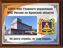 №17